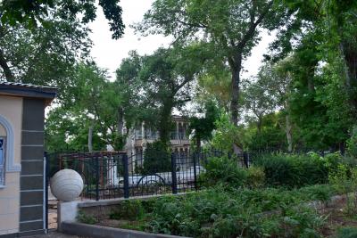 Прикрепленное изображение: DSC_0429.JPG